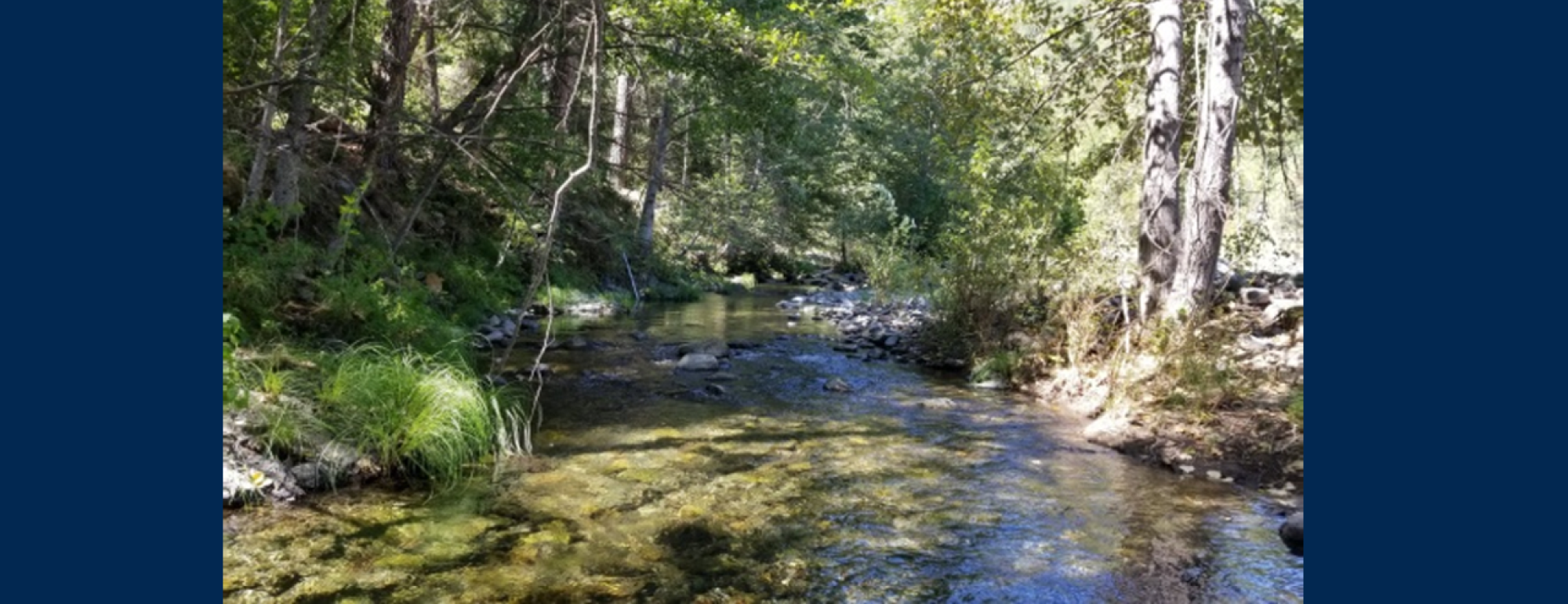Scott River Center for Watershed Sciences